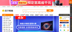 苏宁易购